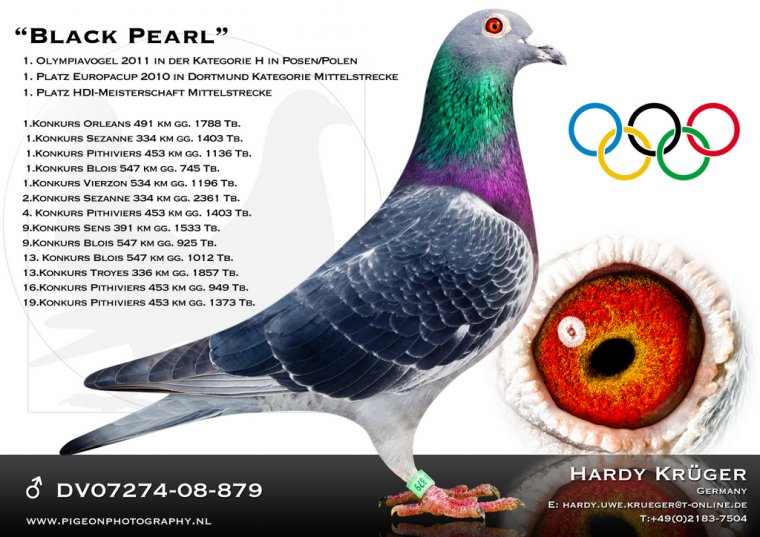 289-Inbred Black Pearl