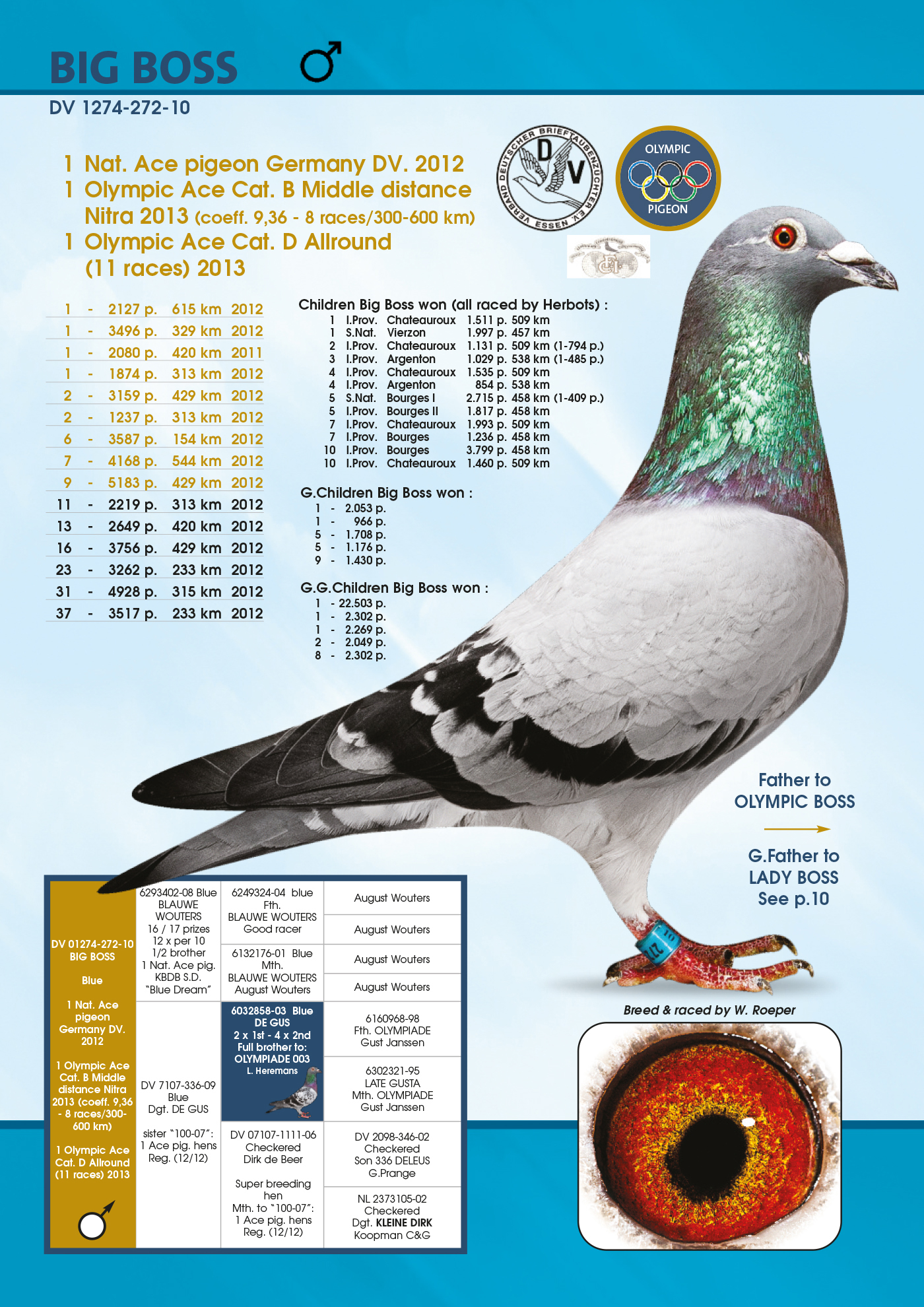 Pigeon Digest 新春特別号 54号 The 270 – International Sea Pigeons