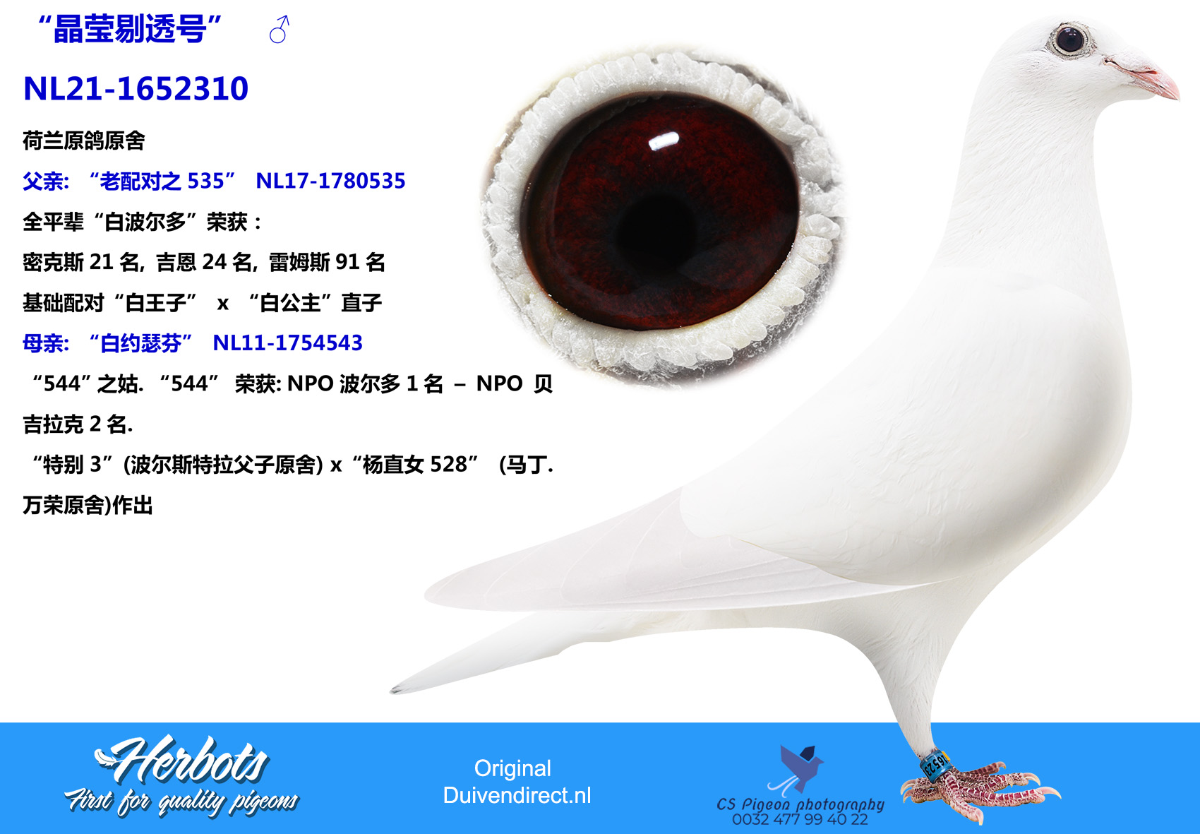 麻雀直女” - DV-09623-20-578