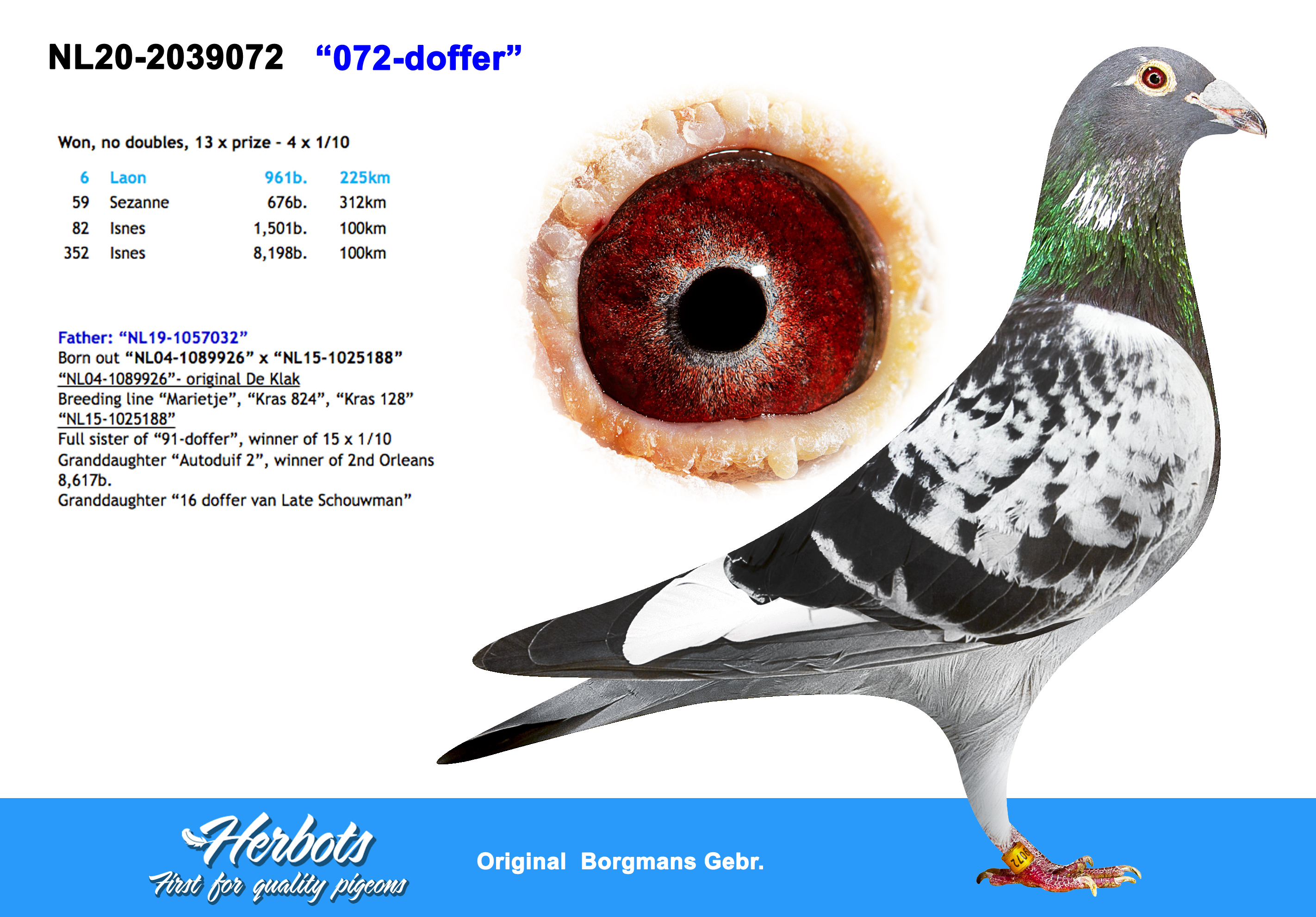 072-doffer” - NL-20-2039072