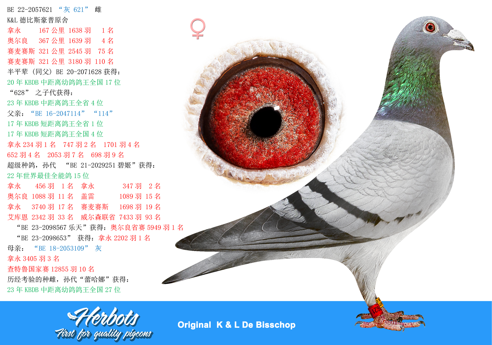 灰621” - BE-22-2057621