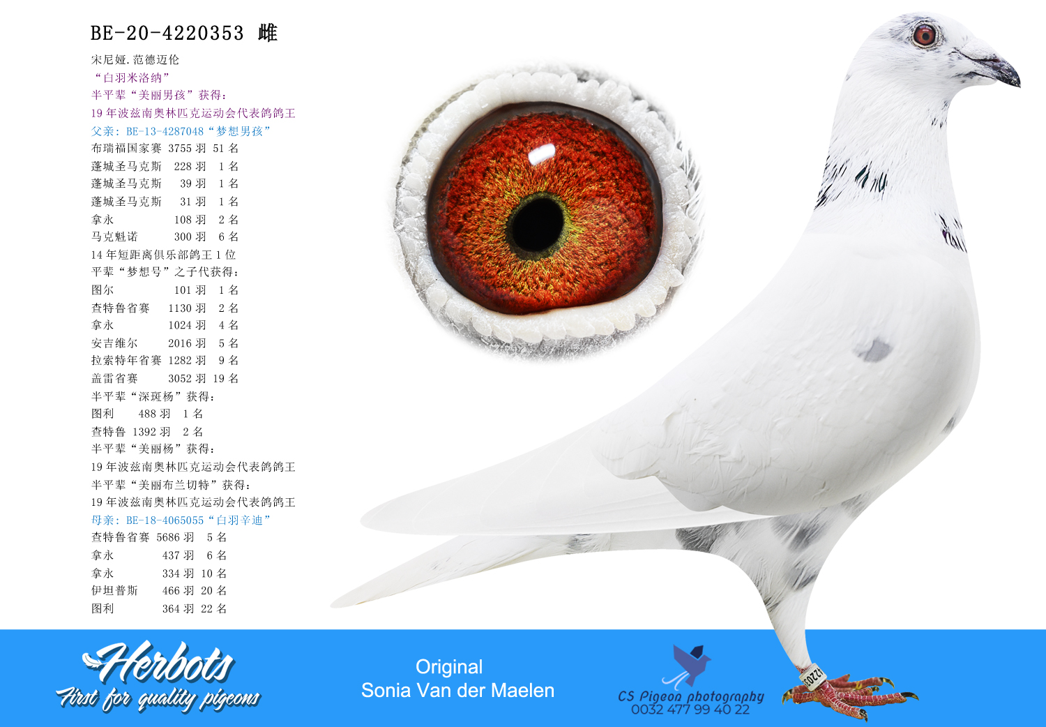 平安　三浦竹泉造　白磁染付　漢詩文　六角足付盃　M　R4630 平安 三浦竹泉造 白磁染付 漢詩文 六角足付盃 M R4630