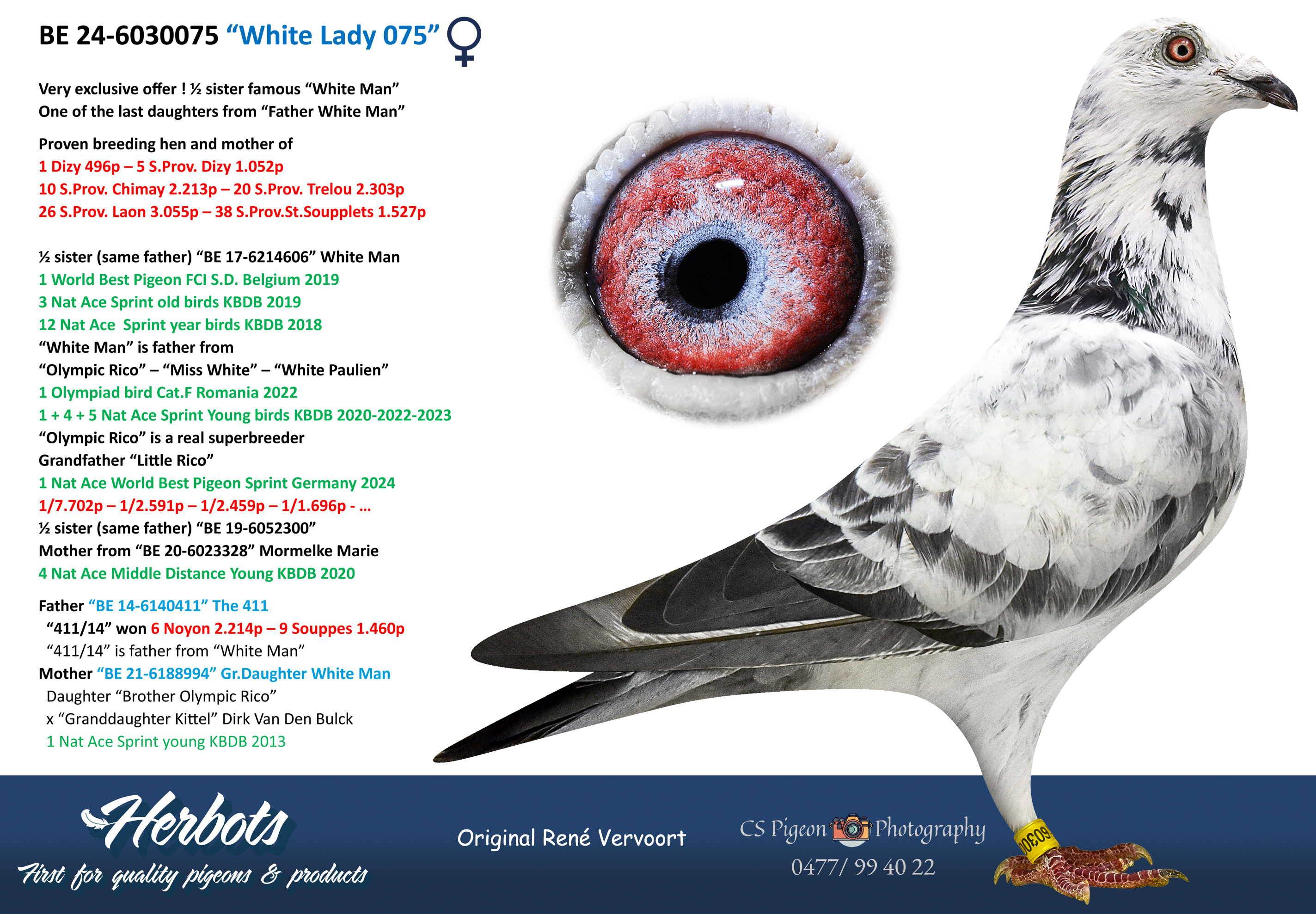 White Lady 075” - BE-24-6030075