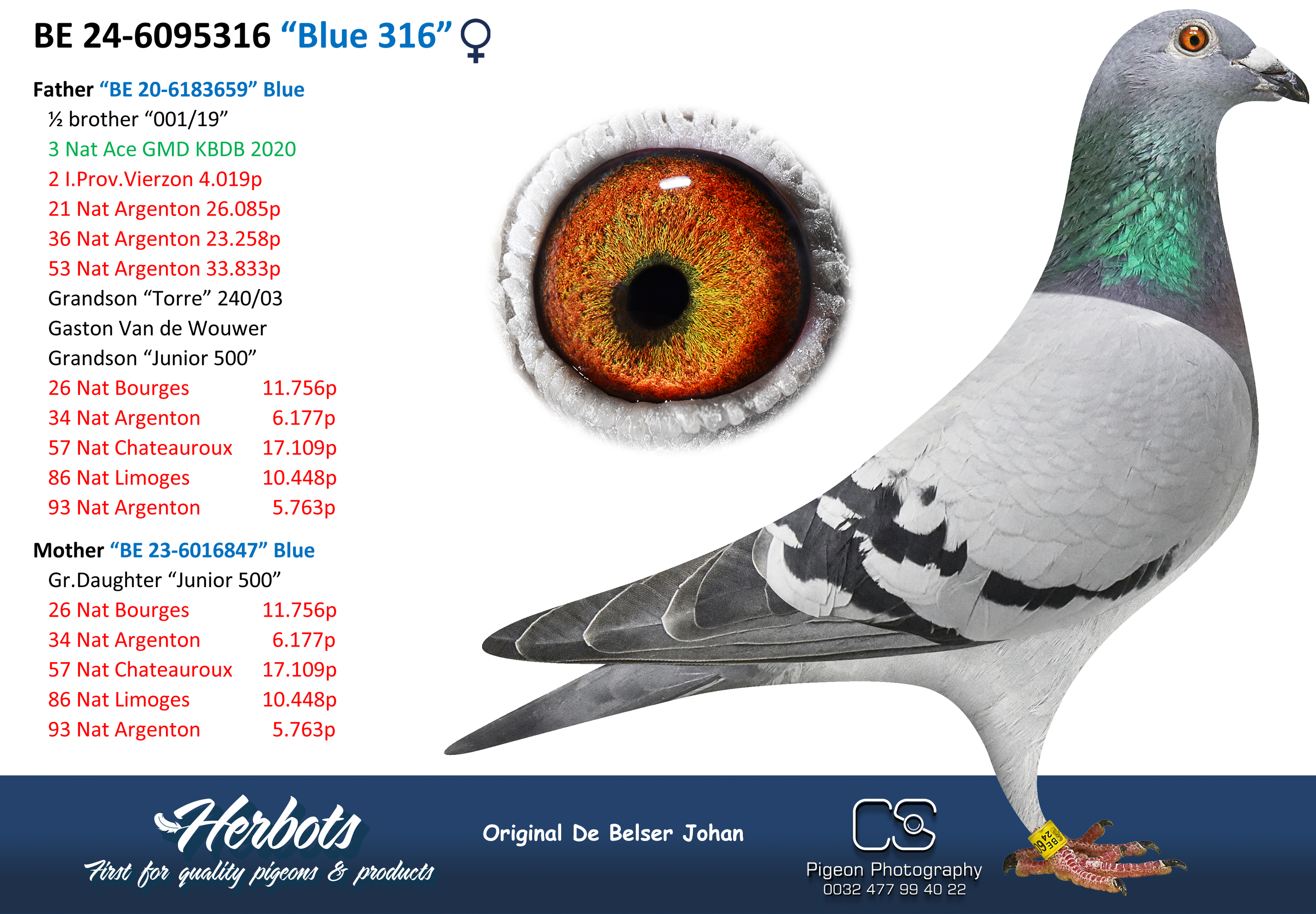Blue 316” - BE-24-6095316