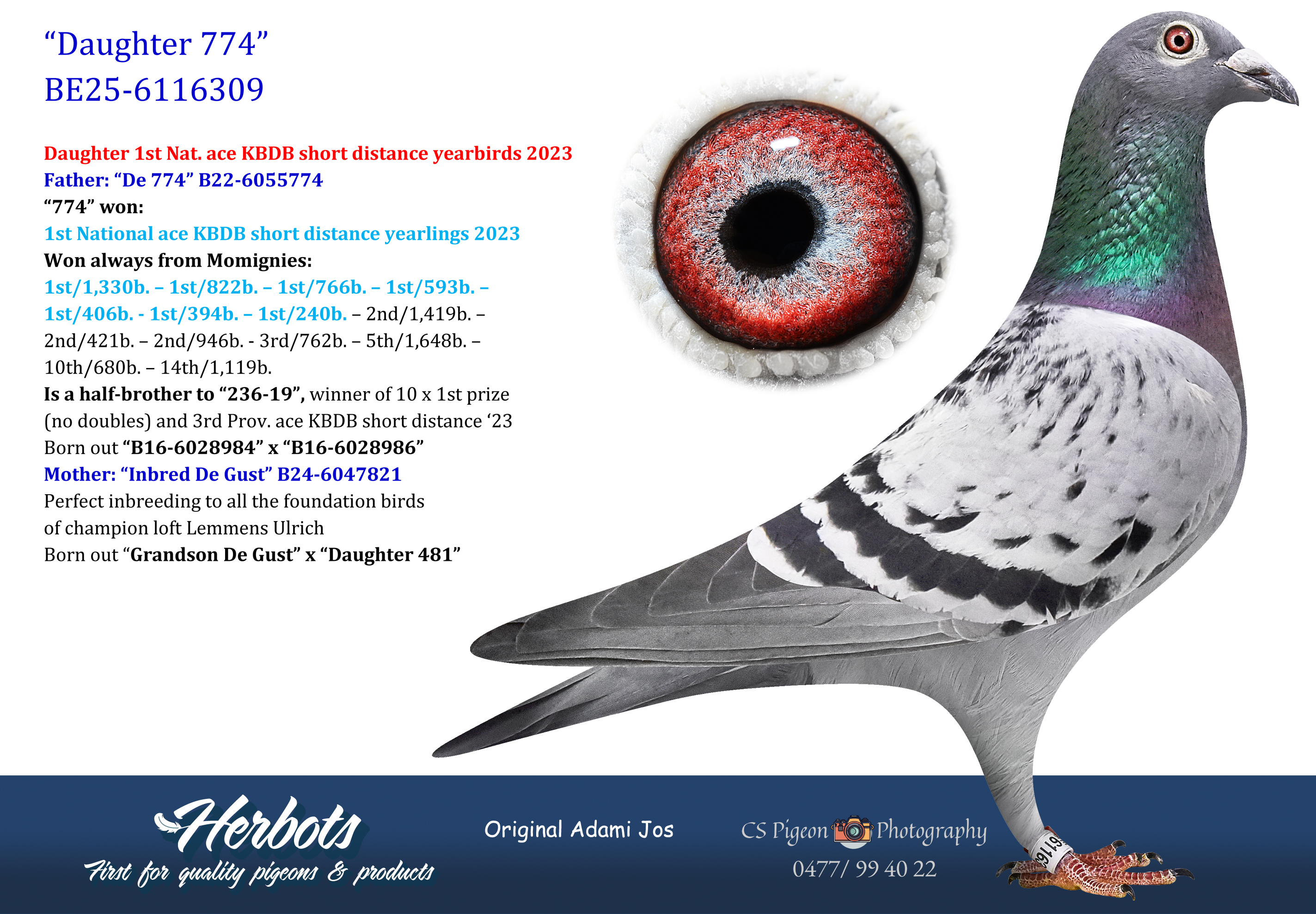 Daughter 774” - BE-25-6116309