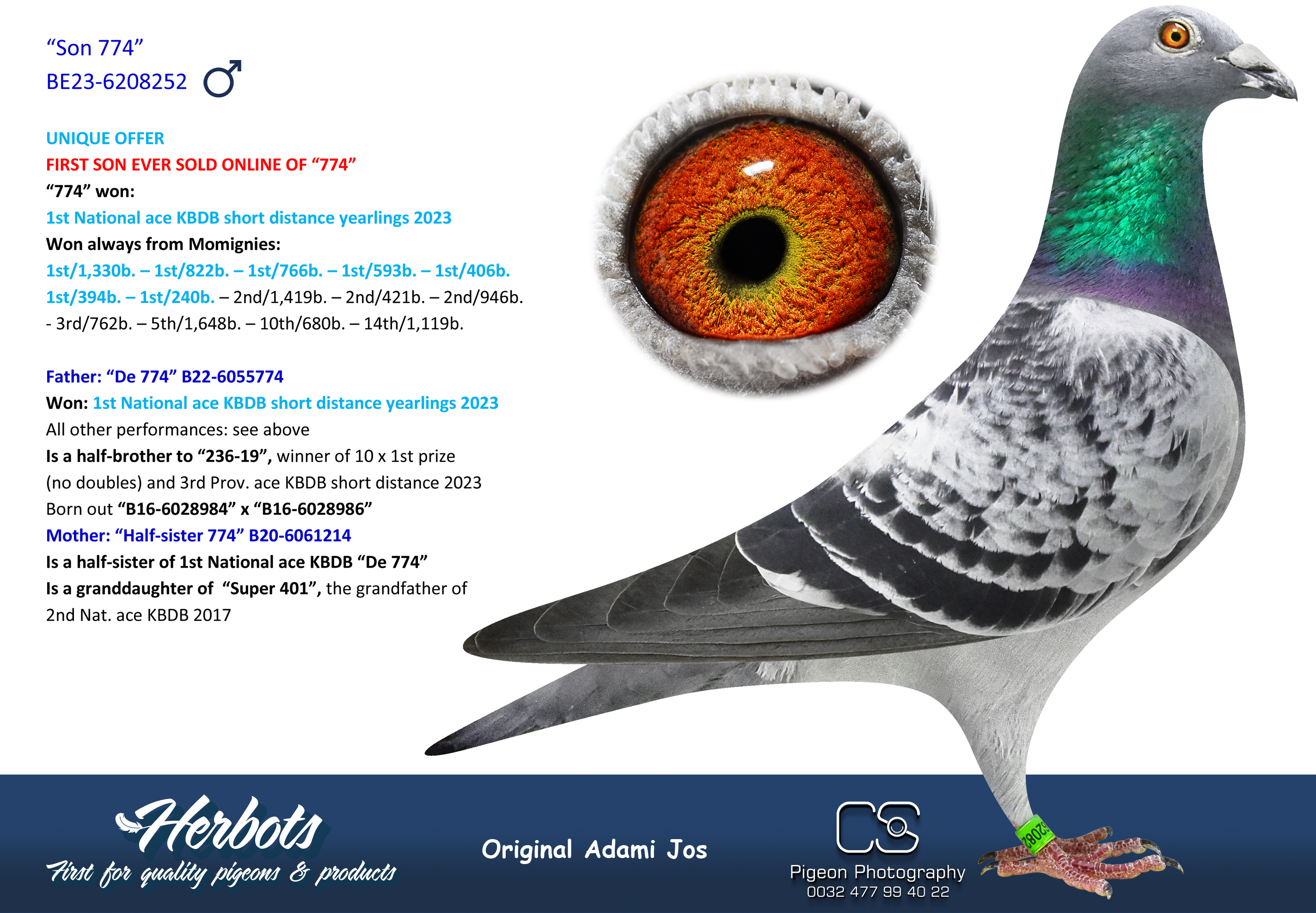 Pigeon in Flight Collectible Figure by Jeff Staple