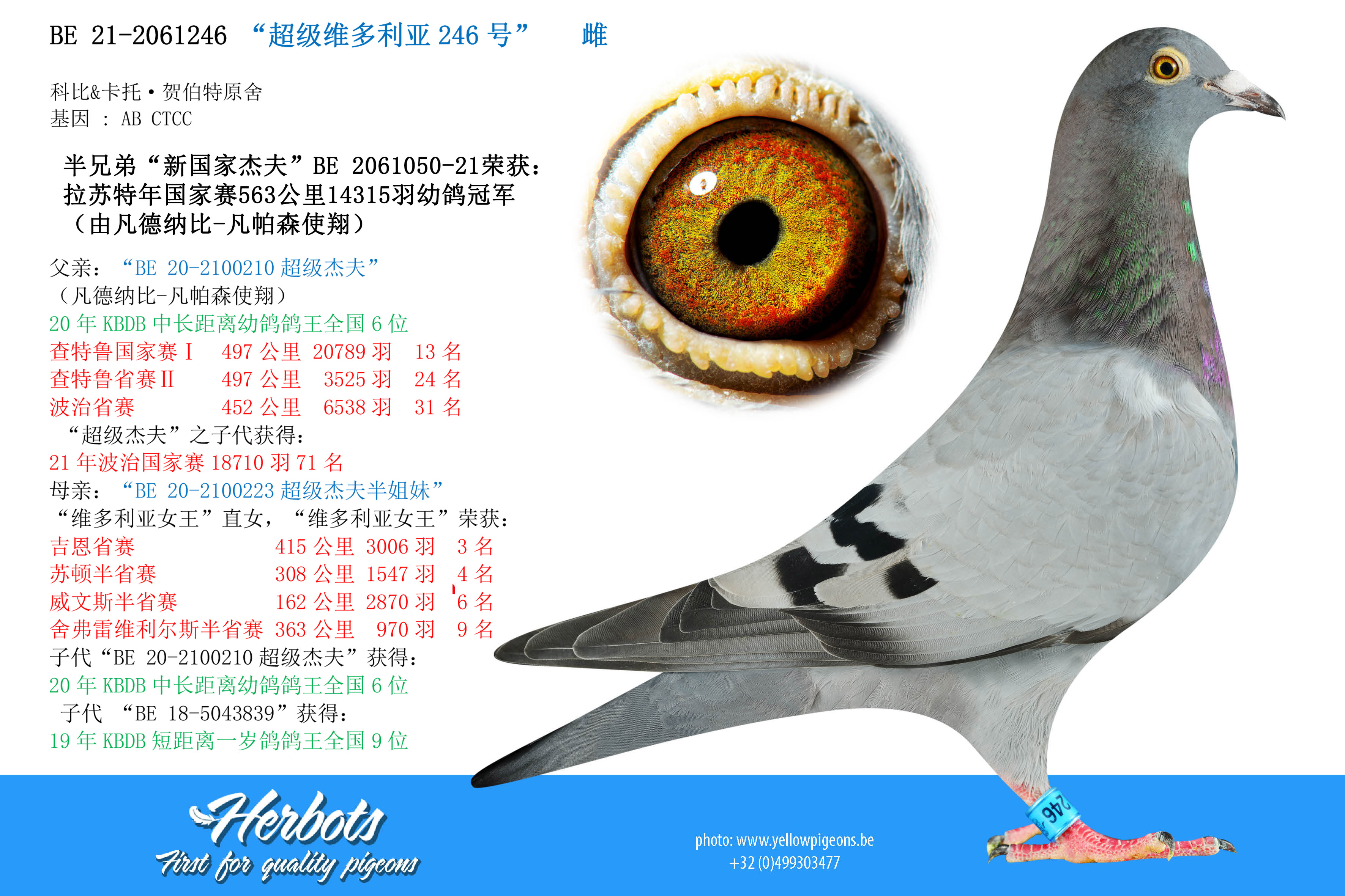 父母兄弟 加拿大父母$600万遗产三兄妹用这招守住财富