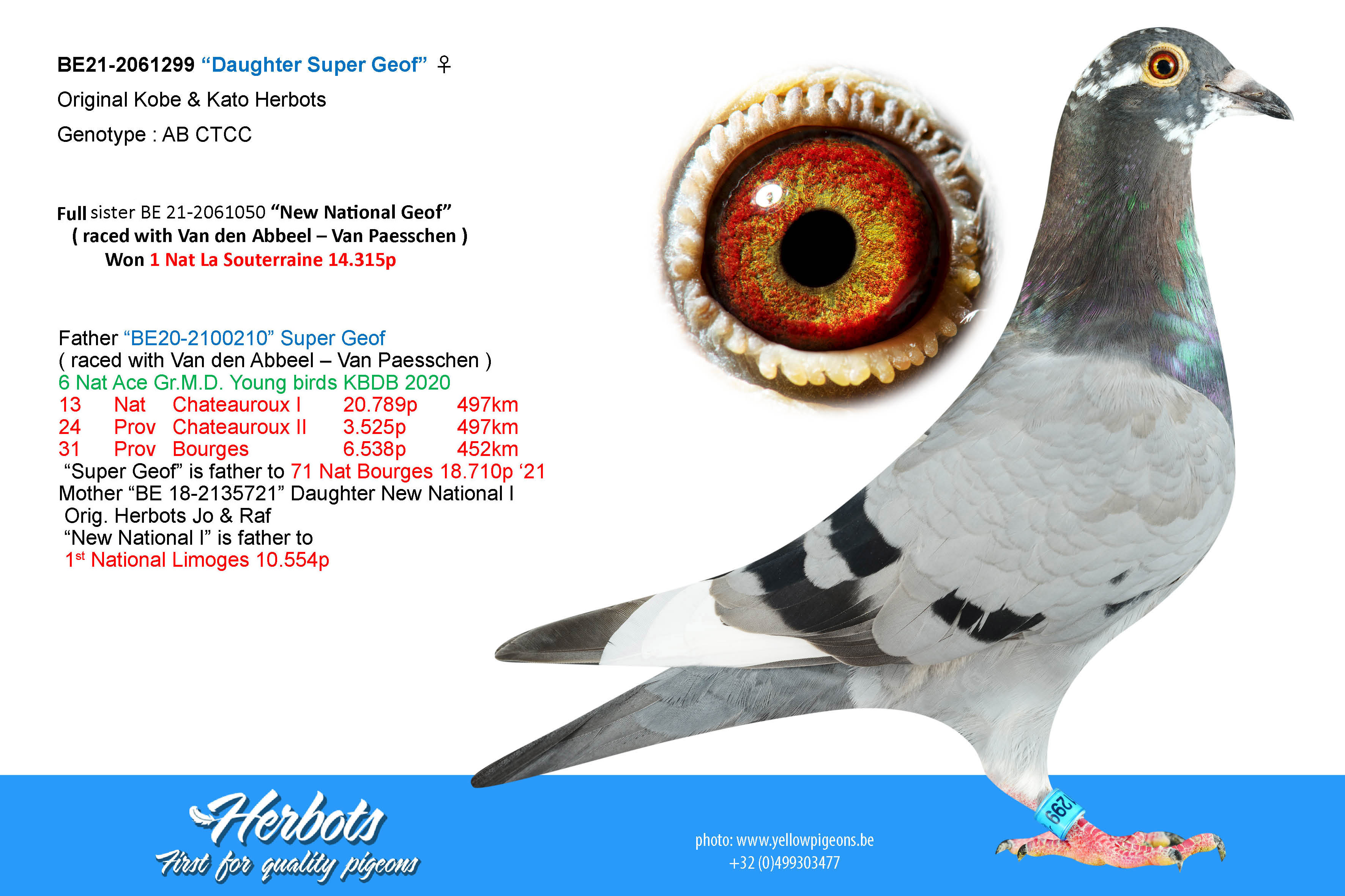 Daughter Super Geof” - BE-21-2061299