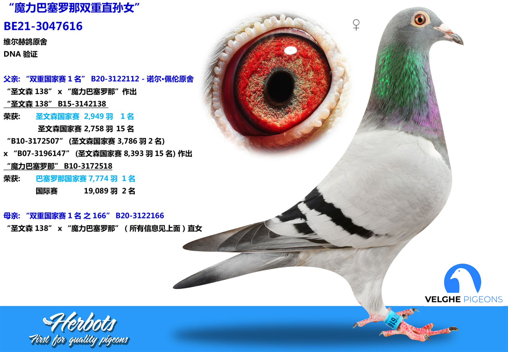 特価‼️李刊「銀花」1号〜135号・137号〜147号・150号・157号 120th Anniversary of Sun Yat-sen's birth in China 10 yuan