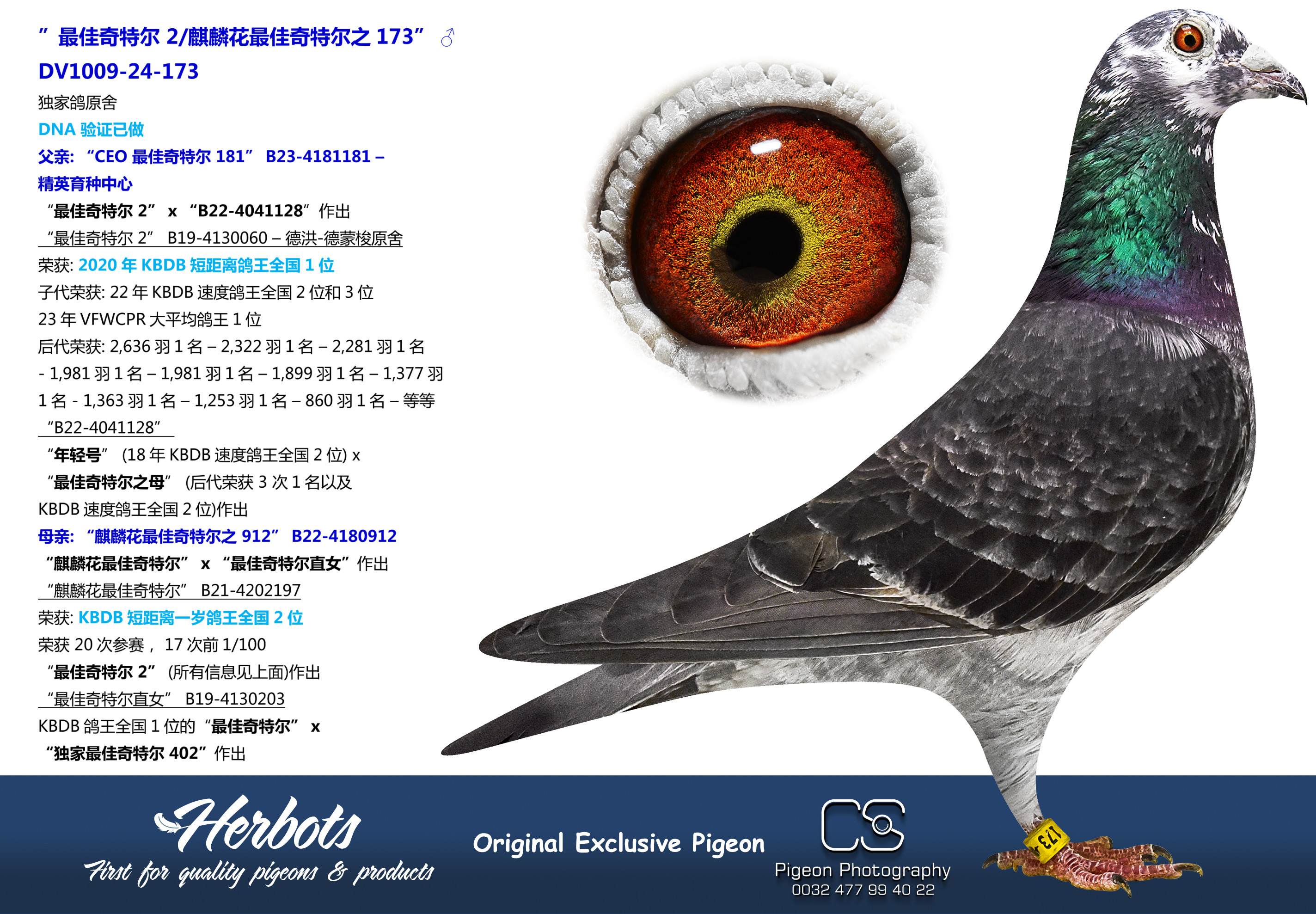 灰最佳奇特尔直孙” - DV-01009-24-183