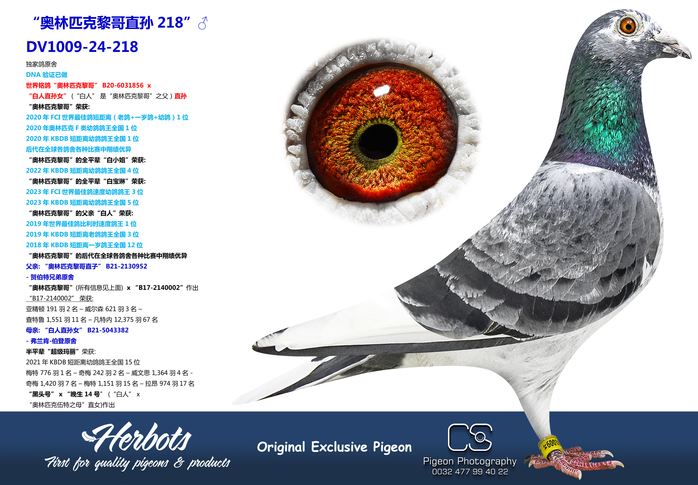 Pigeon Digest 新春特別号 54号 030遇见奥林匹克黎哥” - DV-01009-24-177