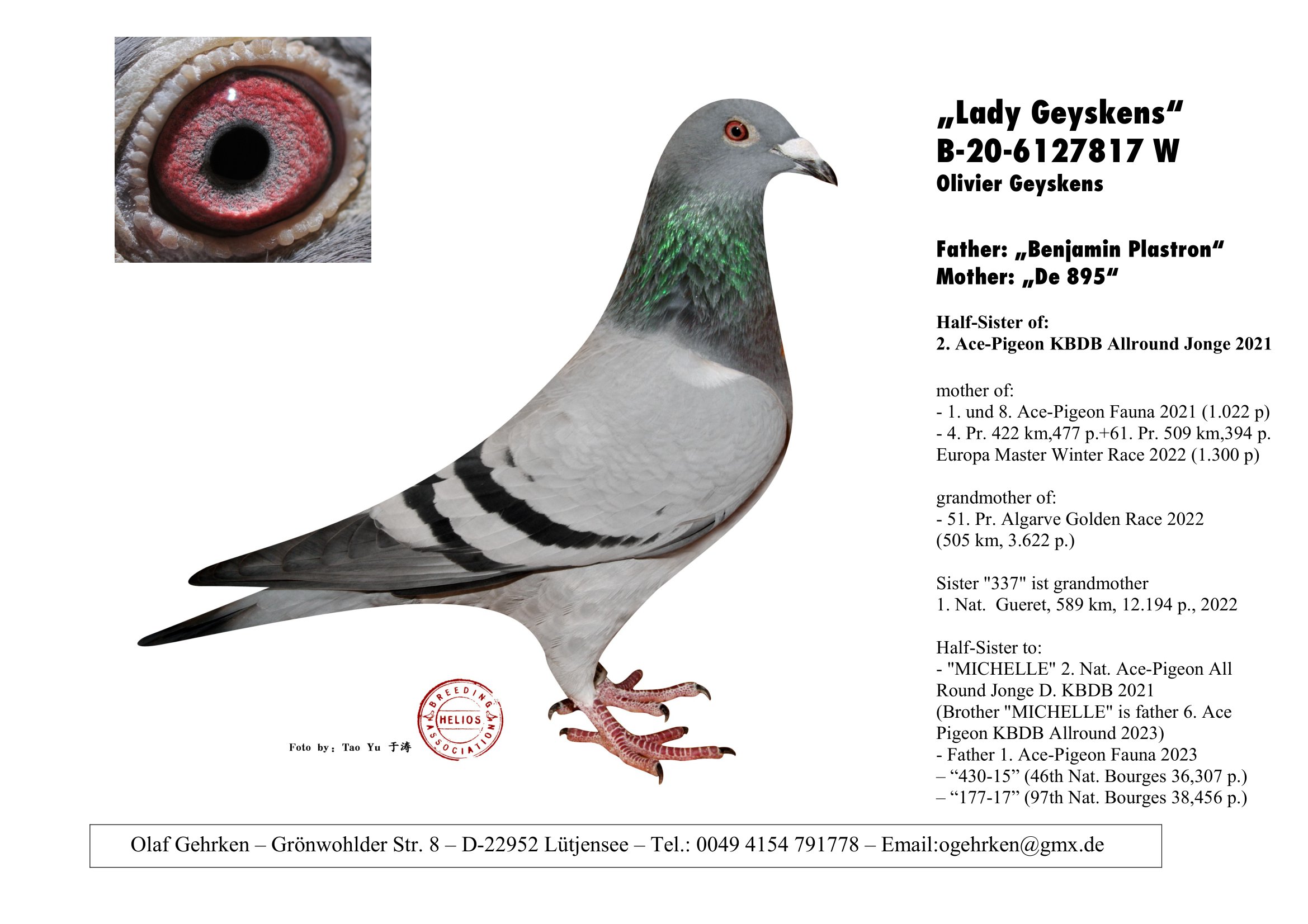 Pigeon Digest 新春特別号 54号 Pigeon Digest 新春特別号 54号 LAST DAY IN AUCTION OLYMPIC