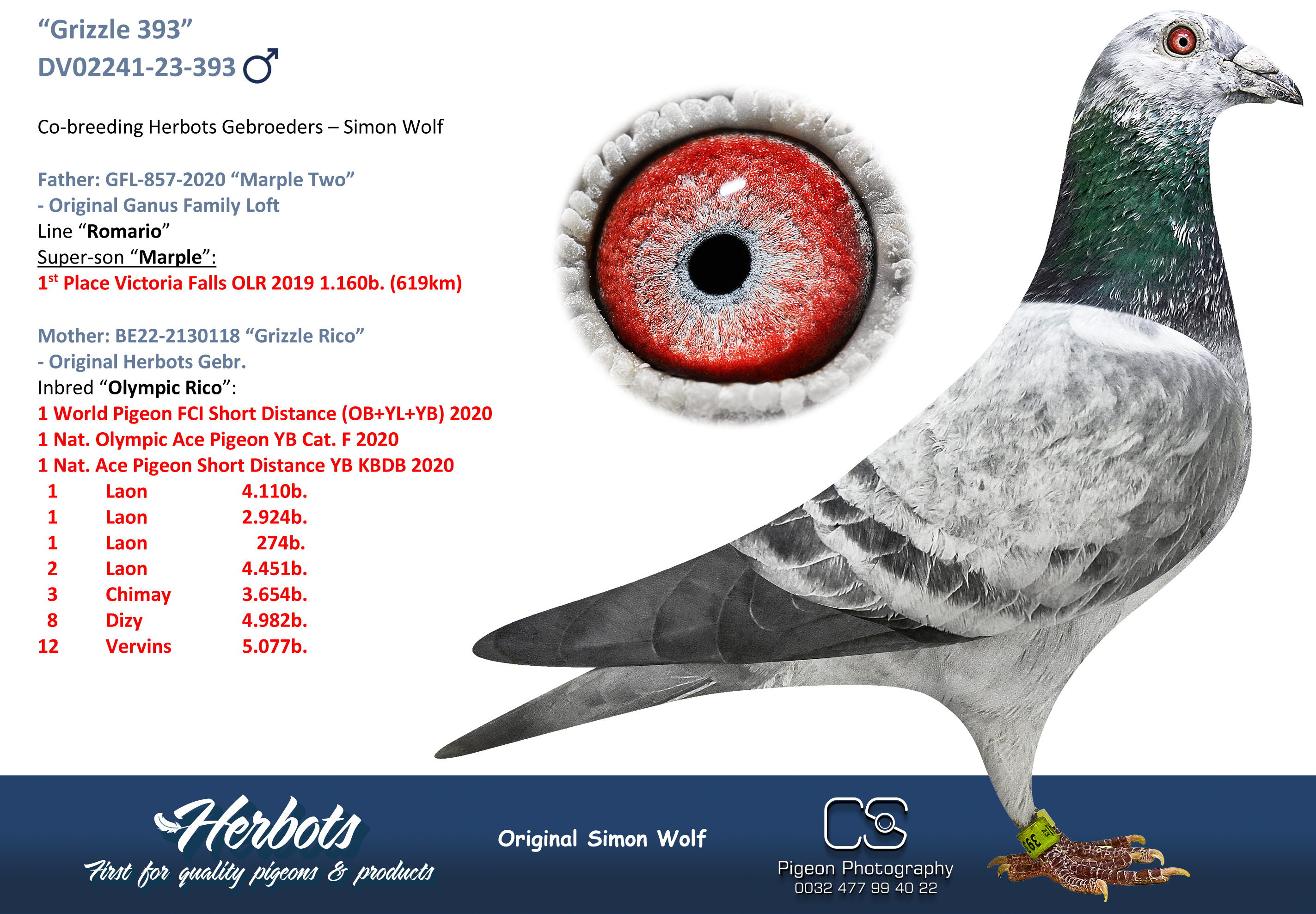 TEMPO AQUILA DO IT RIGHT (1-49 Units) - SMART Reproduction