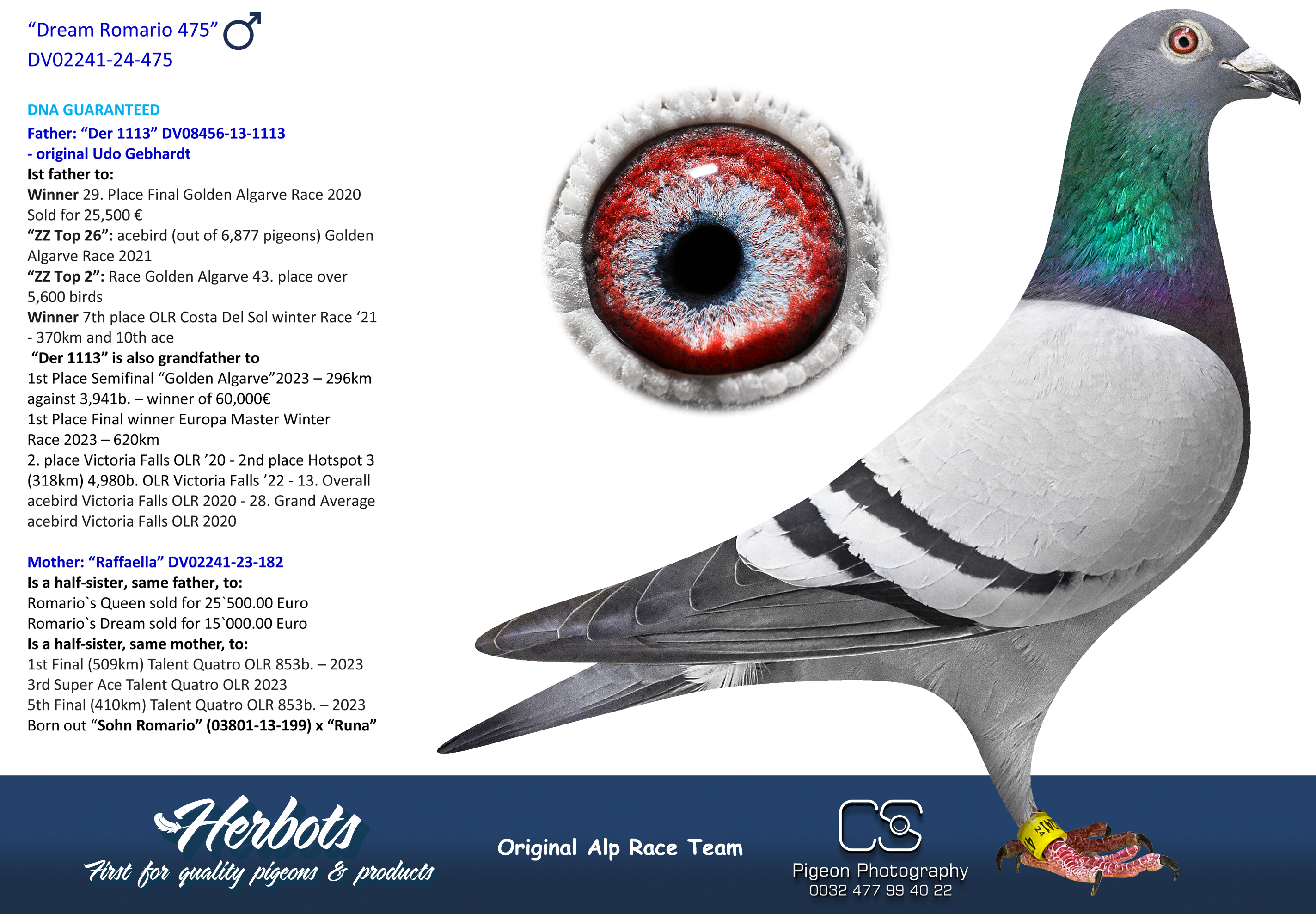 Dream Romario 475” - DV-02241-24-475