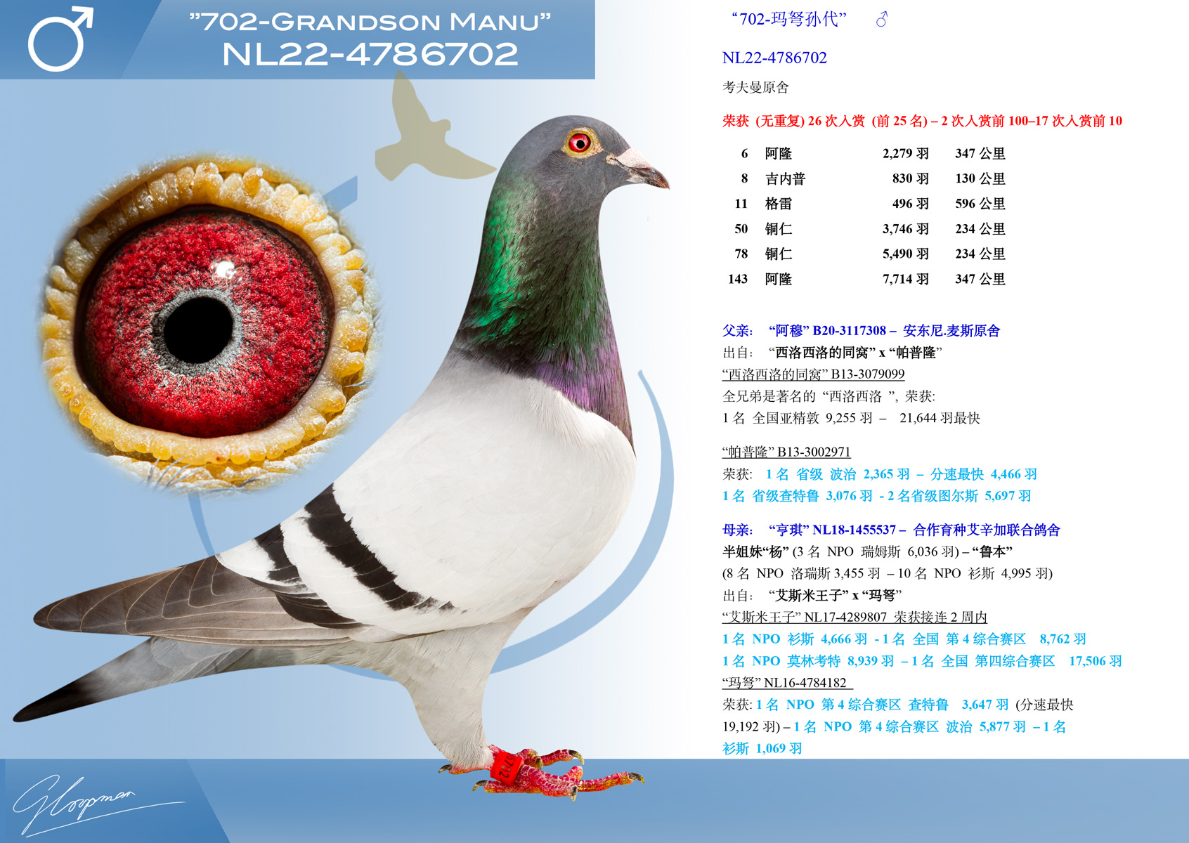 702-玛弩孙代” - NL-22-4786702