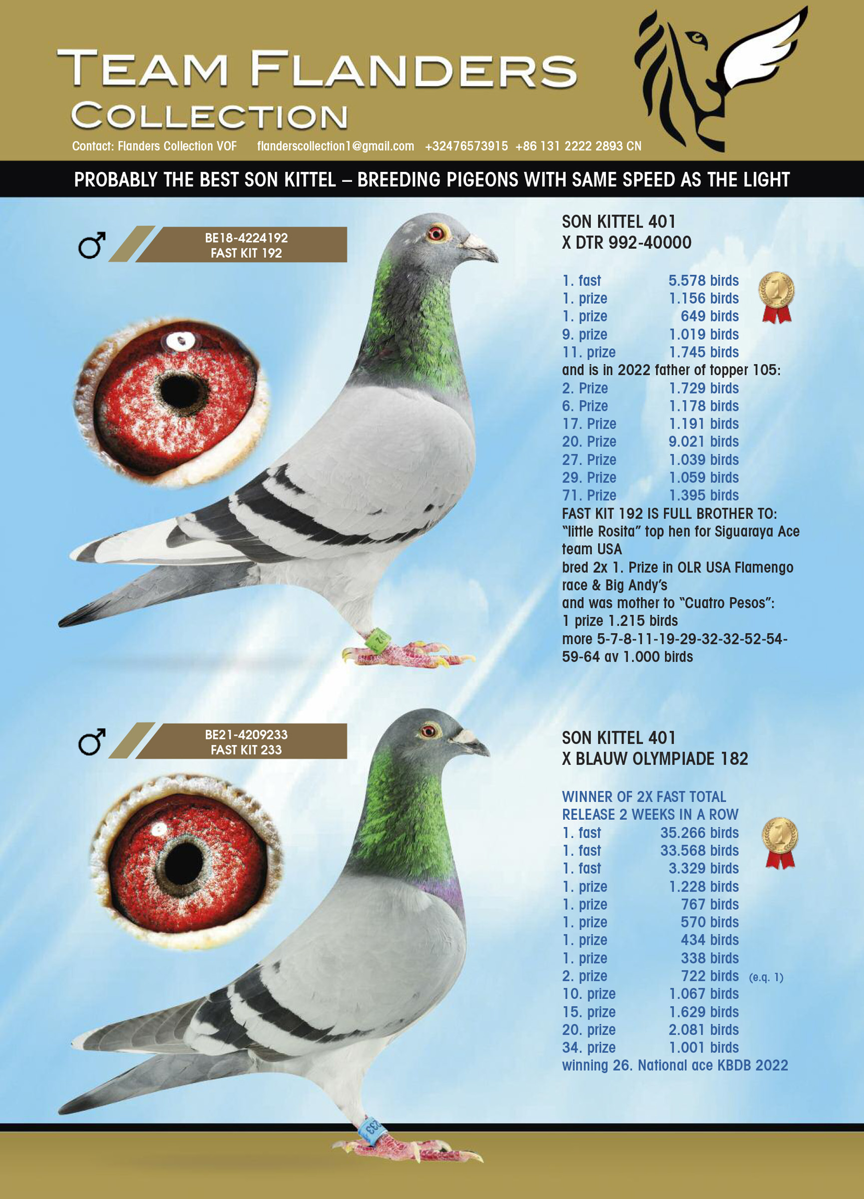 racing_2023_flanders_collectio